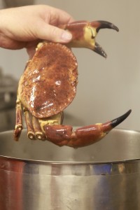 crab pot