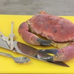 crab3